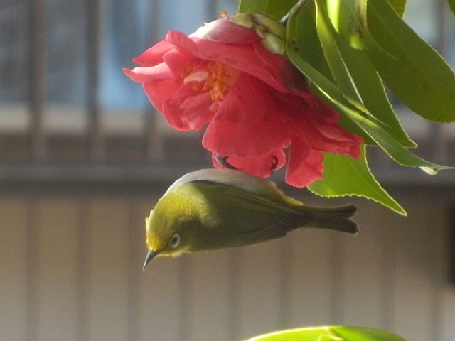 季節の写真
