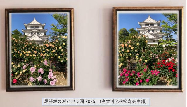 季節の写真